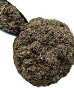 Kräutertee Absinth kleine Pflanze 1kg. Artemisia pontica.
