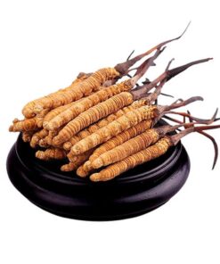 5g China tibet wild cordyceps sinensis aus chinesischem kräutertee frei von zusatzstoffen nährender blüten- und früchtetee aufgebrühter tee loses grünes bio-kraut zum kochen