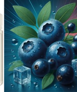 Nordic Chill - Heidelbeere schwarze Johannisbeere Eukalyptus Ice Aroma Konzentrat - Vegan - Sasami - 10ml