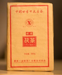 350g Chinesische Spezialität World Expo Anhua Dunkler Tee Fu-Ziegel Neuer duftender Tee Kräutertee Erstklassige gesunde grüne Lebensmittel Heiße Verkäufe