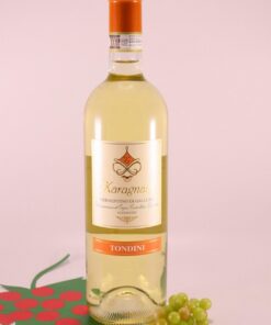 Vermentino di Gallura Karagnanj - 2022 - Cantina Tondini