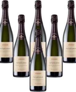 TotoCorde Alta Langa DOCG Spumante Brut Metodo Classico (6 Flaschen 75 cl.)