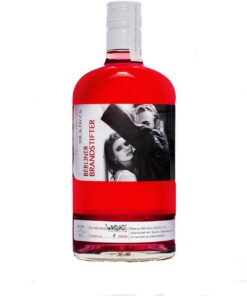 Berliner Brandstifter Dry Gin KUNSTEDITION 41,3% Volume 0,7l