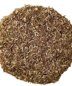 Kräutertee Aurône männlich Pflanze 250 GRS Artemisia abrotanum.