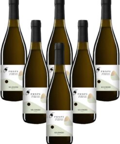 VELENOSI-Weine - Abruzzen-Marke PREPO Trebbiano D'Abruzzo D.O.C. Italienischer Weißwein (6 flaschen 75 cl.)