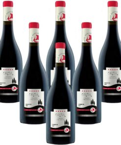 Italienischer Rotwein Orcia SanGiovese DOC senza solfiti Trequanda Rossi (6 flaschen 75 cl.)