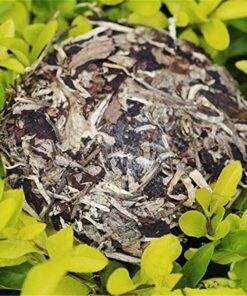Caicheng duftender weißer Mondschein-alter Tee 100g Puer roher Tee Mondschein-Schönheit