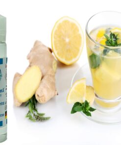 Ingwer Lemon Tee Aroma Konzentrat - Vegan - Sasami - 100ml