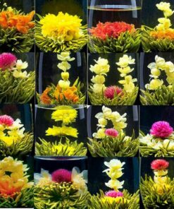 HELLOYOUNG becherförmige Kamelie, Weihnachtsgeschenkset, 16 blühende Blumentees verschiedener Sorten