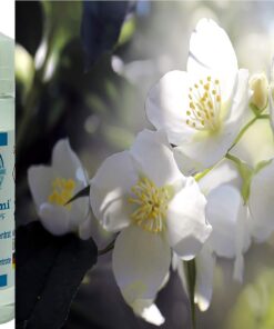 Jasminblüten - Jasmin Blüten Aroma Konzentrat - Vegan - Sasami - 100ml