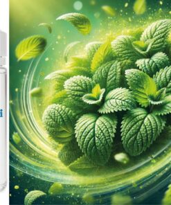 Zitronenmelisse Aroma Konzentrat - Vegan - Sasami - 100ml