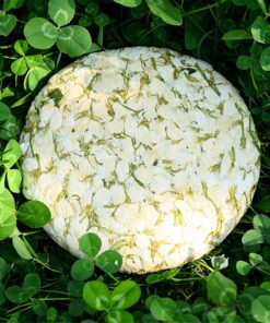 200g erstklassiger getrockneter Jasmintee Knospenblumentee grüner Pu-erh-Teekuchen blüht