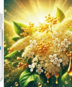 Holunder Blüten - Holunderblüten Aroma Konzentrat - Vegan - Sasami - 100ml