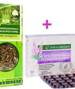 WALDFRUCHTEE BIO 100 g - DARY NATURY