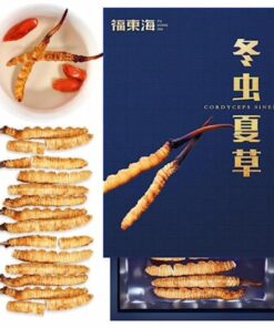 Premium Chinesischer Kräutertee Gesunder Tee Getrockneter Tien Cordyceps 1g / Karton Natürlicher roher Cordyceps Sinensis Militaris Pilz