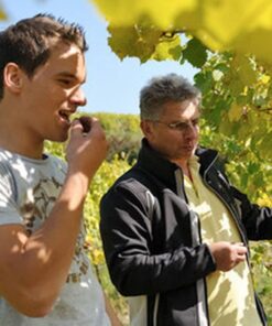 Proidl Grüner Veltliner Generation X Kremstal Senftenberg - 2019
