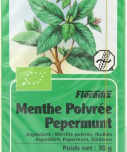 Pfefferminze, bio