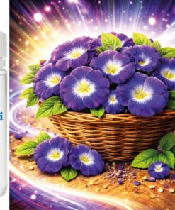 Anchan Blüten Aroma Konzentrat - Vegan - Sasami - 10ml