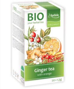 TEE (INGWER UND ORANGE) BIO 20 x 1,5 g