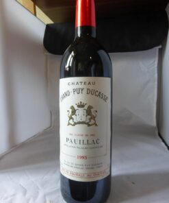 Château Grand-Puy Ducasse 1993 Pauillac