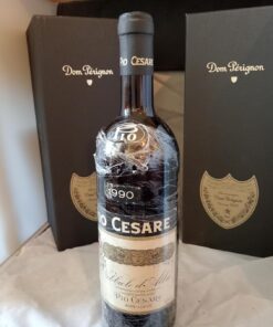 NEBBIOLO PIO CESARE 1990