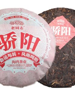 Haiwan Old Comrade Blazing Sun Reifer Puerh Puer Tee Erster Klasse "Jiao Yang" 357g