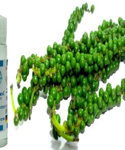 Pfeffer grün Aroma Konzentrat - Vegan - Sasami - 100ml