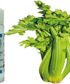 Sellerie Aroma Konzentrat - Vegan - Sasami - 100ml