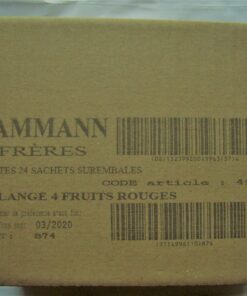Dammann Freres Tee - 4 FRUITS ROUGES / 4 Rote Früchte Tee - 4 x 24 Cristal Teebeutel