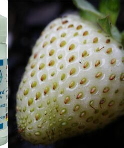 Weisse Erdbeere-Ananaserdbeere-Pineberry Aroma Konzentrat - Vegan - Sasami - 100ml