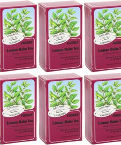 (6er BUNDLE)| Floradix - Lemon Balm Organic Herbal Tea -15bag