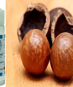 Macadamia Aroma Konzentrat - Vegan - Sasami - 100ml