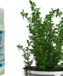 Bohnenkraut Aroma Konzentrat - Vegan - Sasami - 100ml